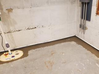 Wet Basement Repaired with New Sump Pump & Drainage System in Shawano, WI