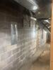 Solving Water & Mold Issues Caused by Foundation Wall Failure in Wild Rose, WI