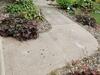 Sunken Concrete Driveway Repaired in Tigerton, WI