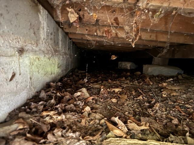 Crawl Space Encapsulation with Vapor Barrier in York, Maine - Before Photo
