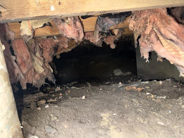 Repairing Damp Crawl Space in Scarborough, Maine - Before Photo