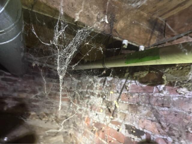 Berwick, Maine Crawl Space Needs More Support - Before Photo