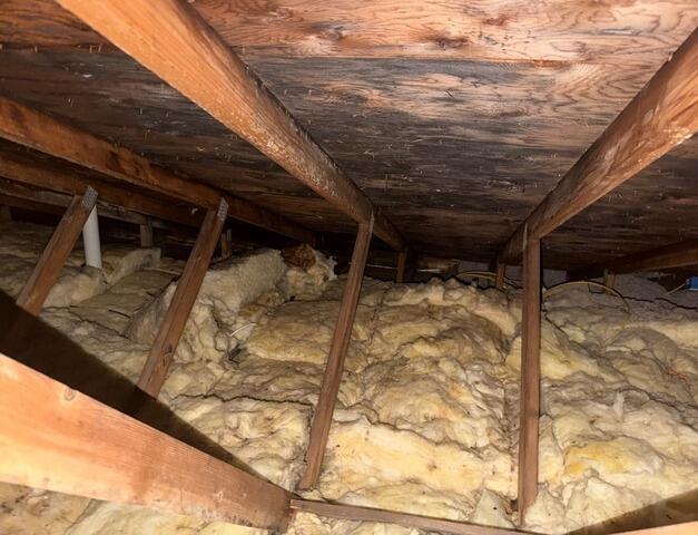 Blown In Attic Insulation in Scarborough, Maine - Before Photo