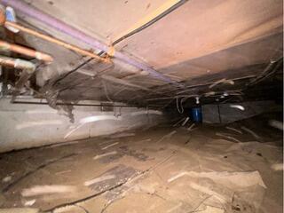 Moldy Crawlspace Saved in Rockland, ME