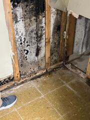 Installing Wall Vapor Barrier in North Berwick, Maine