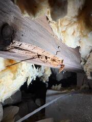 Supporting Sagging Floors in New Gloucester, Maine
