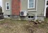 Basement Window Replacement in Buxton, Maine
