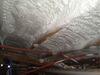 Spray Foam Insulation for Naples, Maine Crawl Space