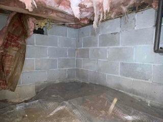 Insulating and Protecting a Crawl Space in Sutherland, VA