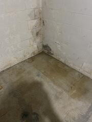Sump pump install in Papillion, NE