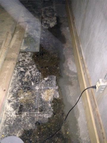 Wet Matthews, MO Basement Systems Fitted With WaterGuard Drains - Before Photo