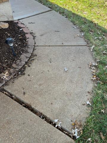 Walkway Transformation in Saint Louis, MO - Before Photo