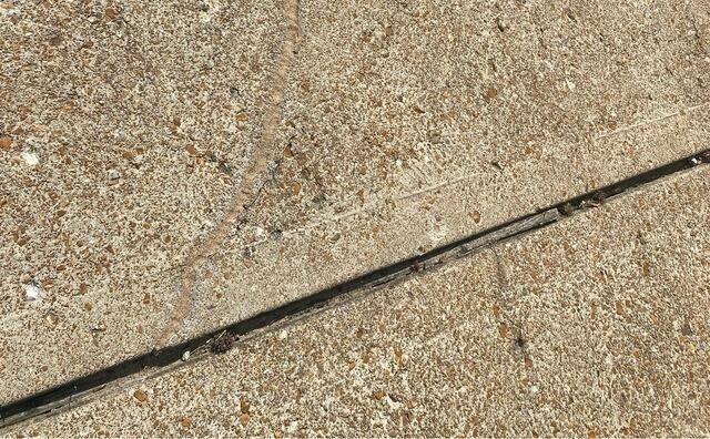 Sealing Walkway in Saint Louis, MO - Before Photo