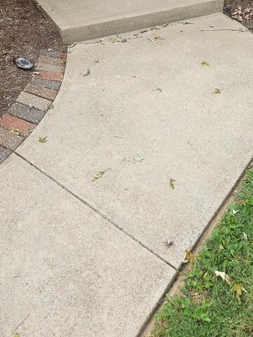 Walkway Repair in Belleville, IL - Before Photo