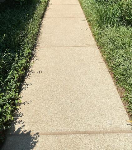 Sealing Walkway in Saint Louis, MO - After Photo