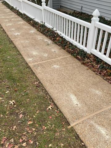 Sealing Sidewalk in Saint Louis, MO - After Photo