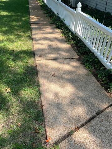 Sealing Sidewalk in Saint Louis, MO - Before Photo