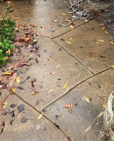 Transforming Walkway in Fenton, MO - Before Photo