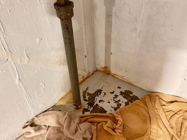 TwinPak Sump Pump