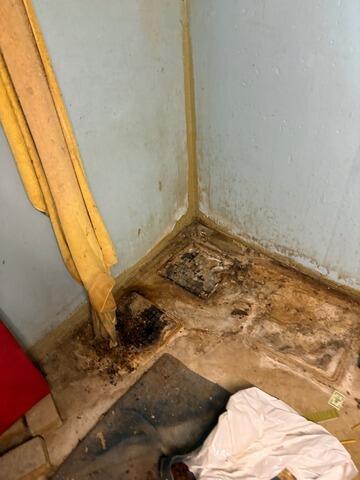 Waterproofed Basement in Springfield, IL - Before Photo