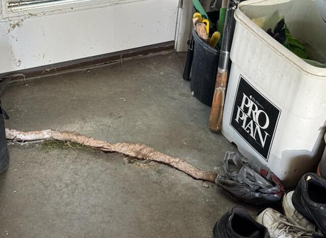 Concrete Repair in Saint Louis, MO - Before Photo