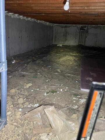 Crawlspace Encapsulation in Springfield, IL - Before Photo