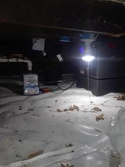 Protecting a Crawlspace in Sappington, MO.