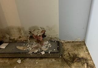 Water Damaging Basement Walls in Barnhart, MO Eliminated with Wall and Drainage Systems