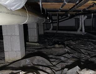 Humid Crawlspace Encapsulated in Champaign, IL