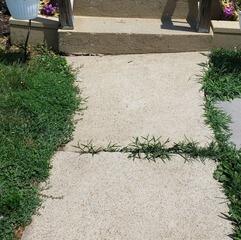 Making an Uneven Sidewalk Level Again in Saint Ann, MO