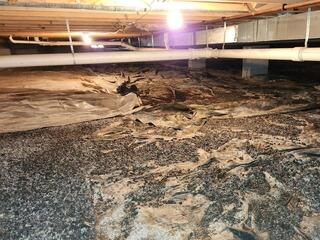 Encapsulating a Damp and Moldy Crawlspace in Tuscola, IL