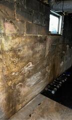 Wall Support Repair in Shelbyville, IL