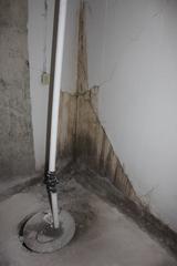 TripleSafe Sump Pump System in Troy, IL