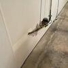 Waterproofing in Decatur, IL
