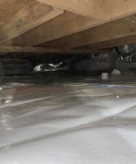 CleanSpace job done in Greenville, SC