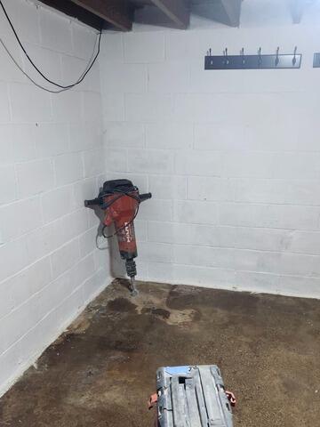 Wet Basement Waterproofing in Goodhue, MN - Before Photo