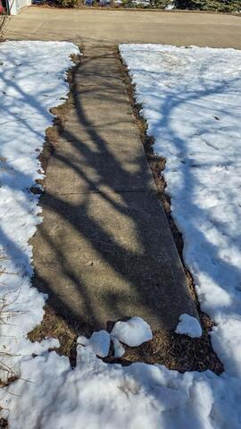 Portland, ND, Concrete Walkway Lifted and Leveled - Before Photo