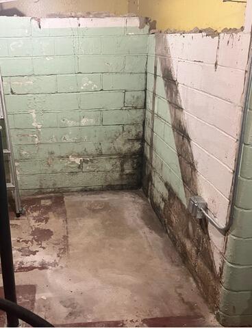Flooding Causes Damp Basement in Adams, MN - Before Photo