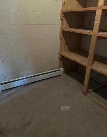 Heavy Rainfall Causes Damp Basement in Rochester, MN - Before Photo