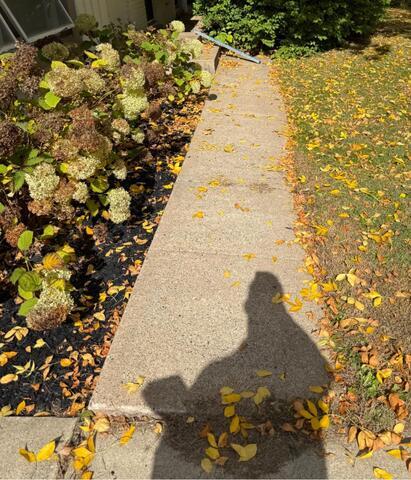 Sinking Concrete Walkway Lifted in Maple Grove, MN - Before Photo