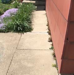 Concrete Lifting and Concrete Repair in Westby, WI