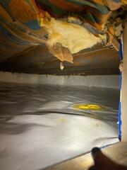 Unhealthy Crawl Space Fixed in Viroqua, WI