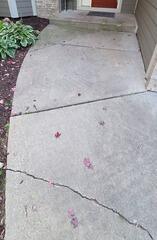 Concrete Lifting and Repair Completed in St Paul, MN