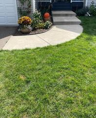 Hanover, MN, Sunken Stairs and Walkway Lifted