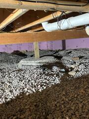 Cresco, IA, Crawl Space Repaired