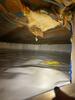 Unhealthy Crawl Space Fixed in Viroqua, WI