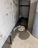 Spicer, MN, Wet Basement Services
