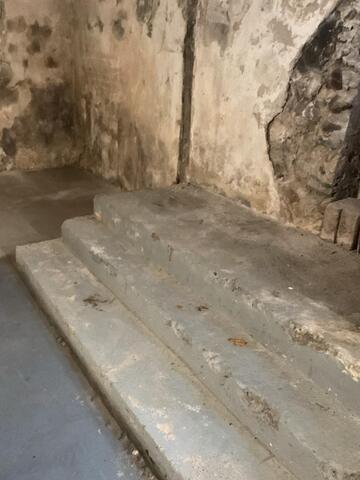 Everbrace Wall Restoration