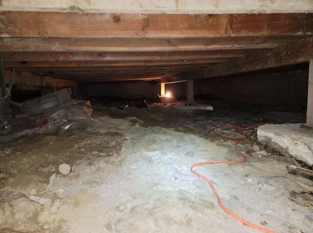 Crawl Space Repair & Protection