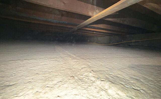 Crawl Space Cleaning and Sanitation in Delta, BC